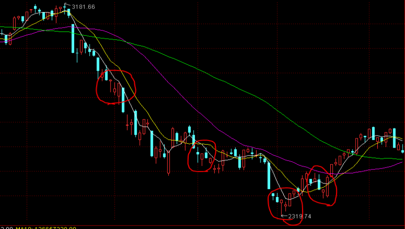2025年桂平麻垌荔枝嘉年华系列活动开幕