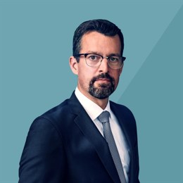 湛江钢铁零碳项目两大核心设备成功吊装就位